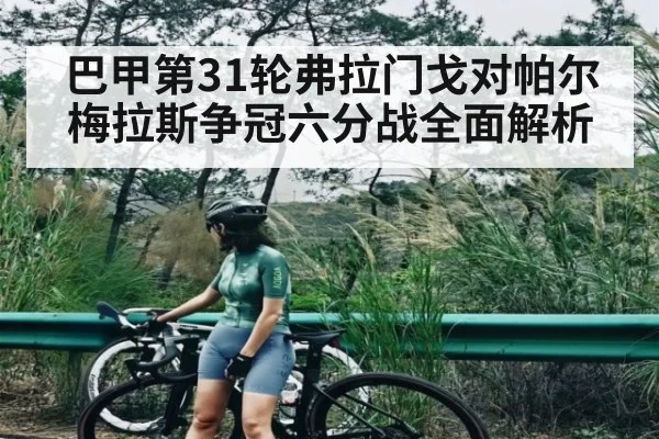 巴甲第31轮弗拉门戈对帕尔梅拉斯争冠六分战全面解析